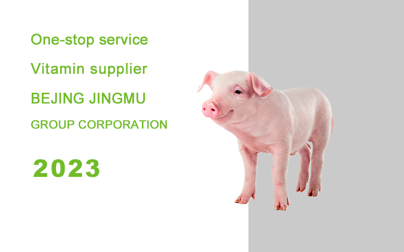 新闻 维生素报告 封面2023.jpg