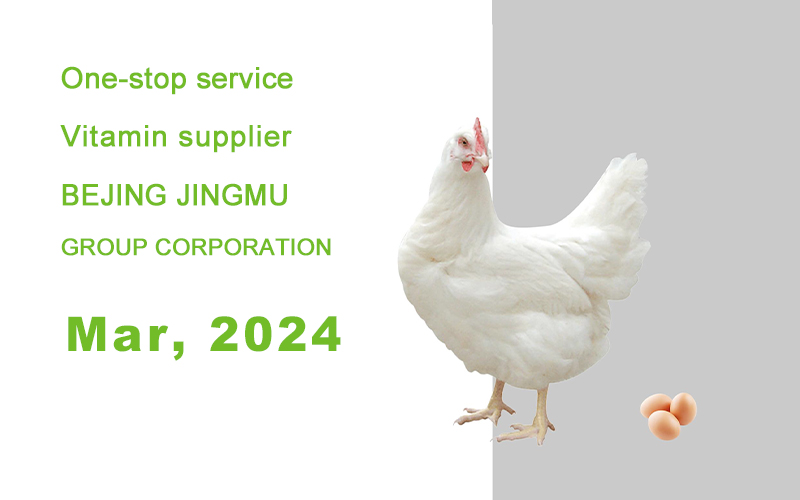 新闻 维生素报告 封面Mar, 2024.jpg