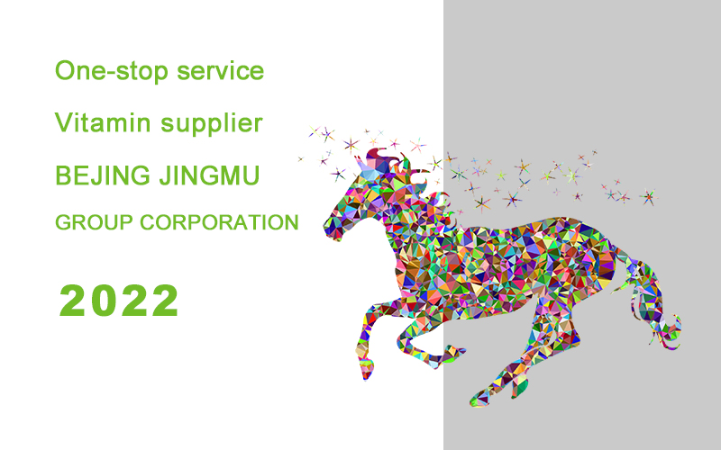 新闻 维生素报告 封面2022.jpg