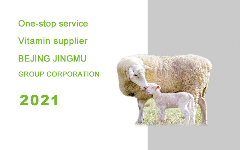 新闻 维生素报告 封面2021.jpg