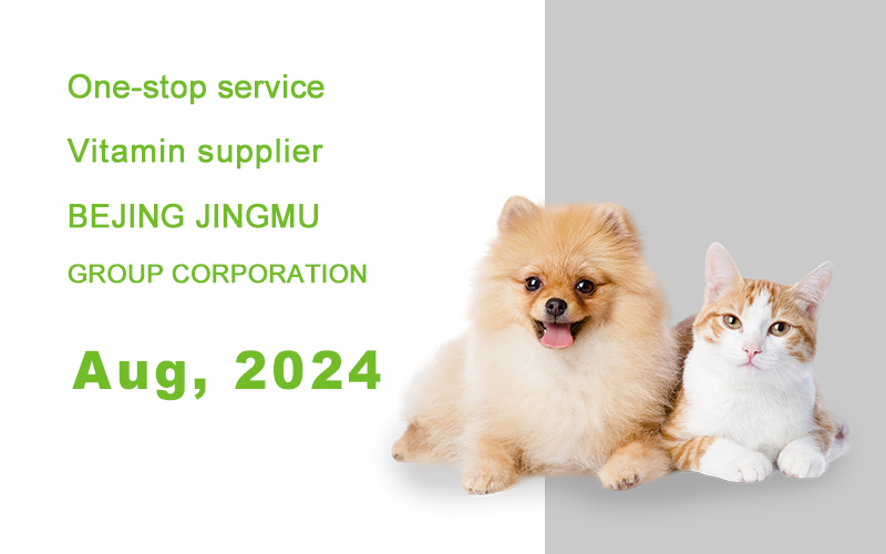 新闻 维生素报告 封面Aug, 2024.jpg