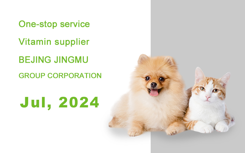 新闻 维生素报告 封面Jul, 2024.jpg